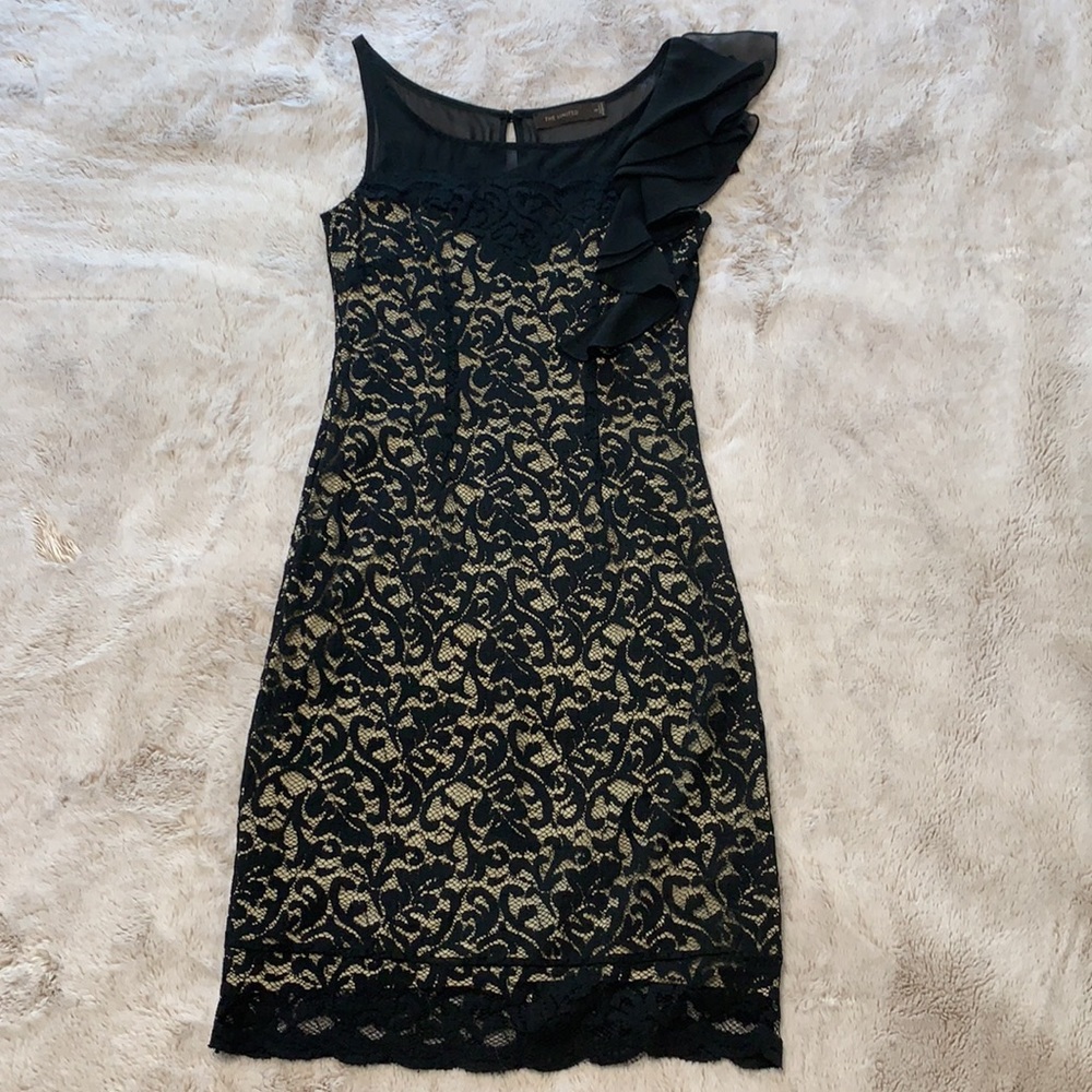 The Limited lace dress